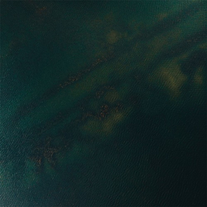 97免费乱伦熟女
