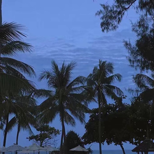 97免费乱伦熟女
