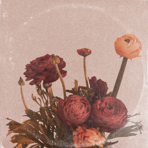 97免费乱伦熟女
